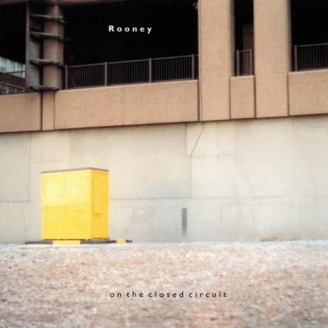 Idiot Strength cover art