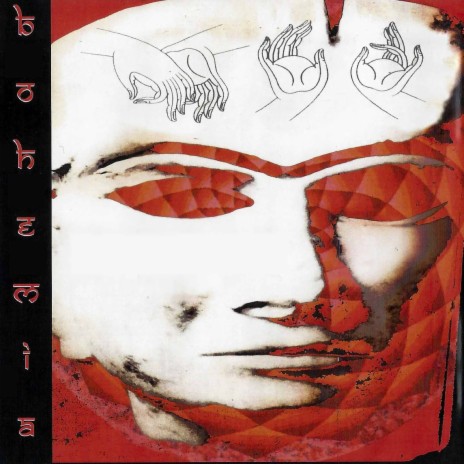 Ear cover art