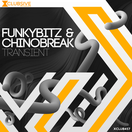 Transient ft. ChinoBreak cover art