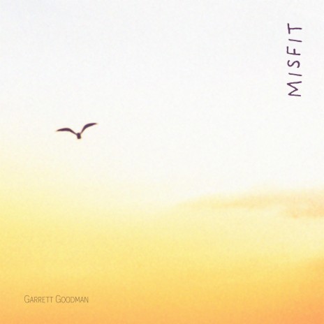 Misfit cover art
