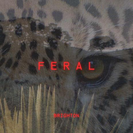 Feral cover art