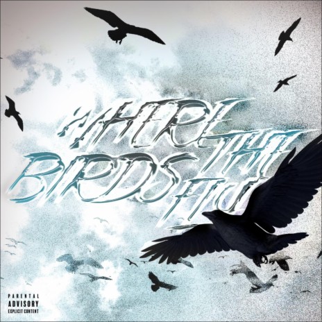 WHERE THE BIRDS FLY cover art