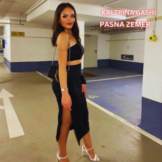 Pasna Zemer