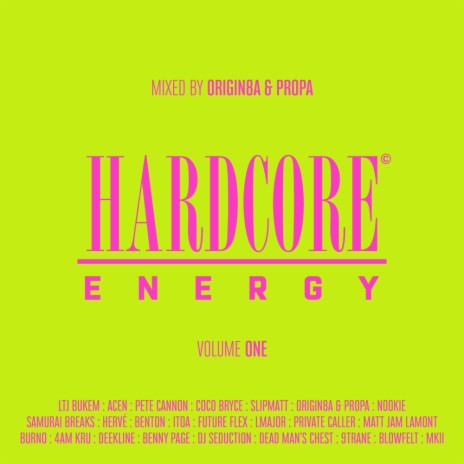 Putting In Werk (Original Mix - Mixed) cover art