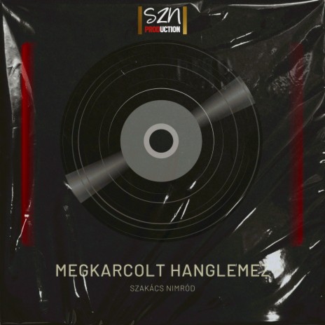 Propaganda (Megkarcolt Hanglemez) cover art