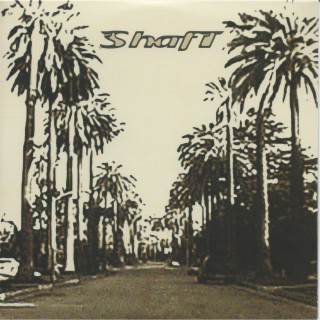 Shaft