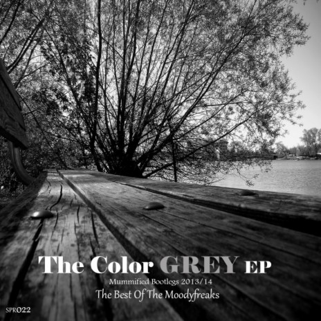 I Once Loved Her (Original Mix) cover art