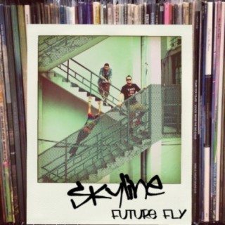 Future Fly (Original Mix) cover art