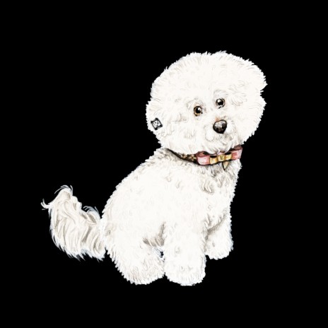 Bichon Frise cover art