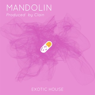 Mandolin cover art