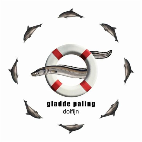 dolfijn cover art