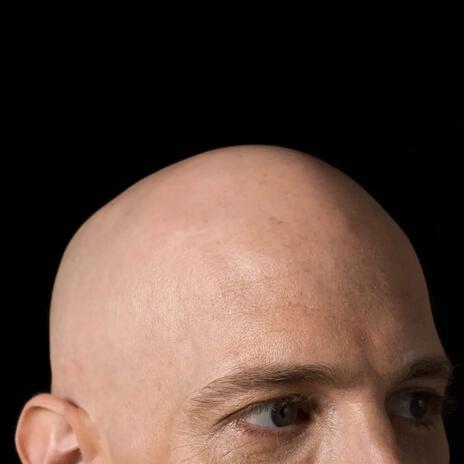 PAUL IS BALD cover art