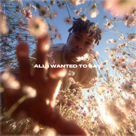 All I Wanted To Say cover art