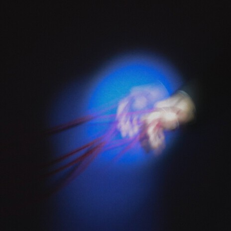 hard feelings cover art