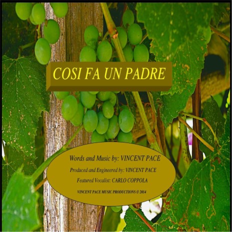 Cosi fa un padre (feat. Carlo Coppola) cover art