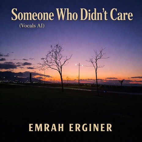 Someone Who Didn't Care cover art