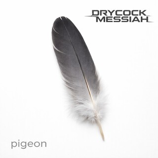 Drycock Messiah
