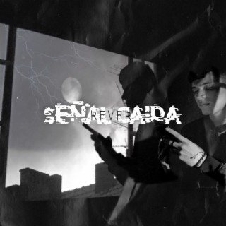 Señal Caida cover art