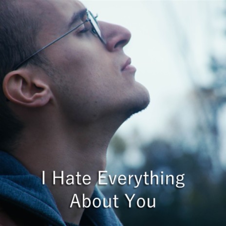 I Hate Everything About You (Acoustic / Orchestral) cover art