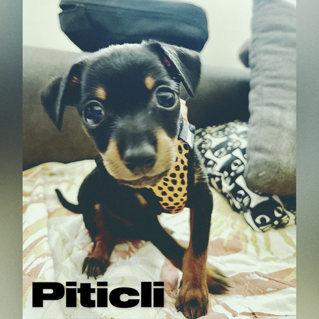 Piticli ft. Beat-Riz cover art