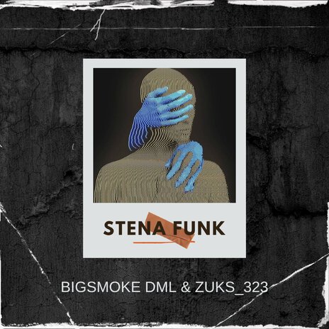 Stena Funk ft. Zuks_323 cover art