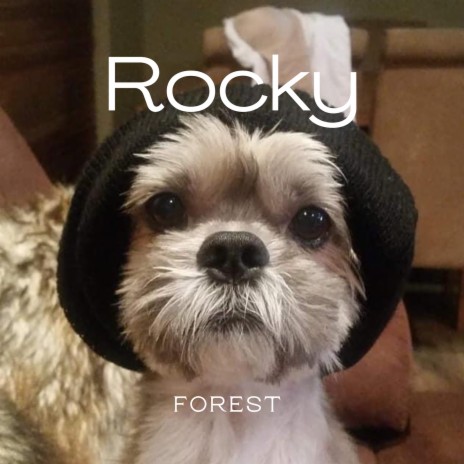 Rocky cover art