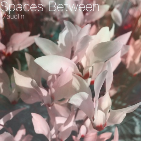 Dwell
