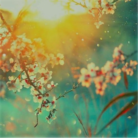 Sprang cover art