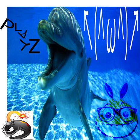 playz cover art
