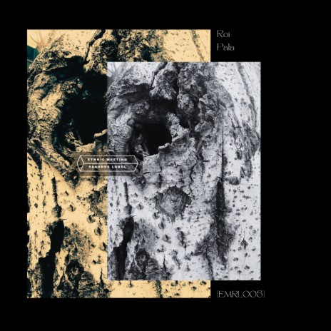 Pala (Original Mix) cover art