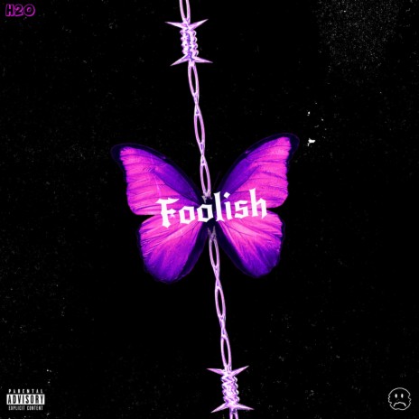 Foolish cover art