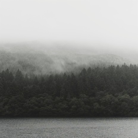 A Little Light in the Darkest Place