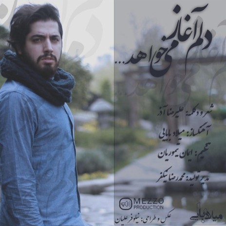 milad babaei delam parvaz mikhahad cover art