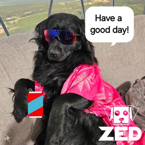 Have A Good Day! ft. Perpetrator cover art