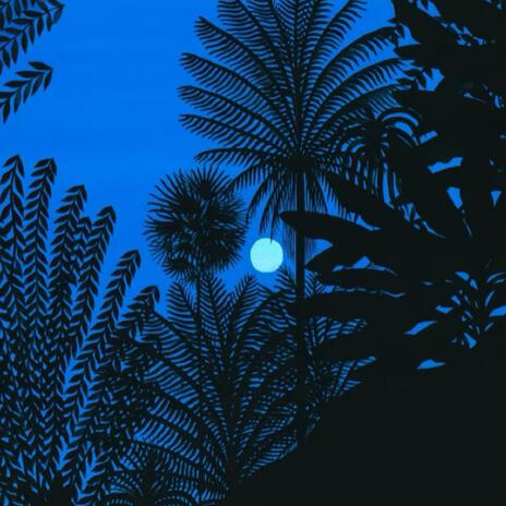 Sundial Lies cover art