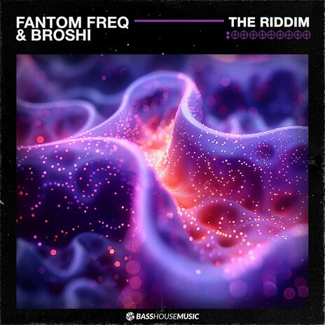 The Riddim ft. Broshi cover art