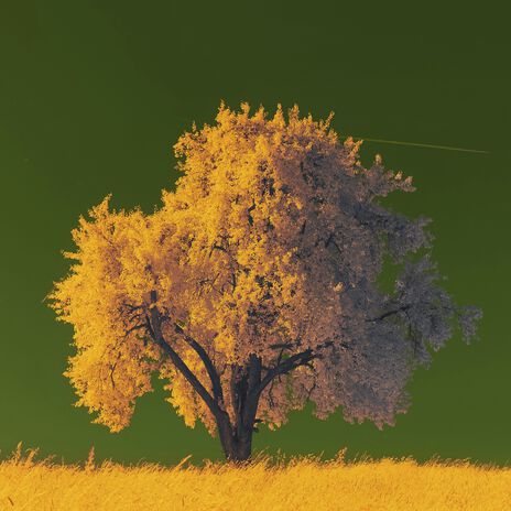 Viernes cover art
