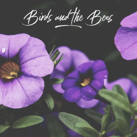 Birds and the Bees cover art