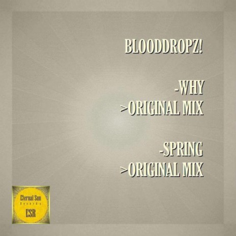 Why (Original Mix) cover art