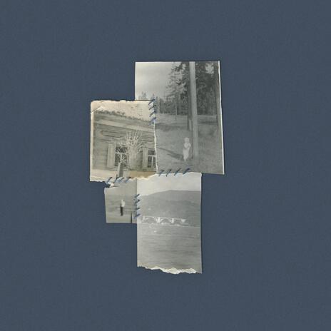 i ft. foresteppe cover art