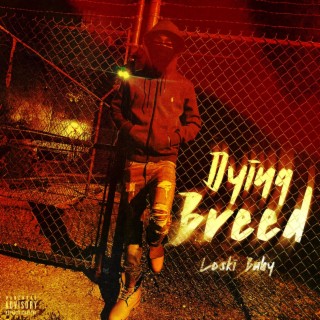 Loski Baby