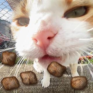 catsandcloudsandmonsters