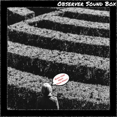 Train to Skaville cover art