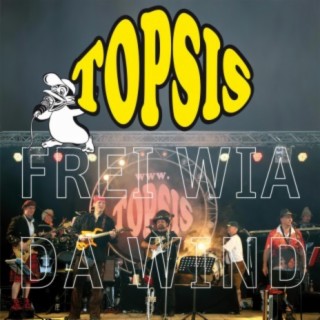 Topsis