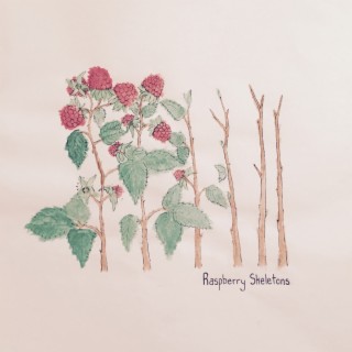 Raspberry Skeletons