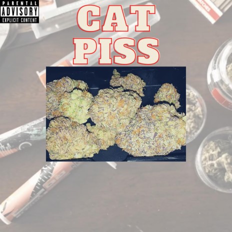 Cat Piss cover art