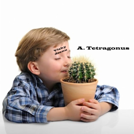 A. Tetragonus cover art