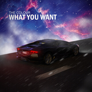 What You Want cover art