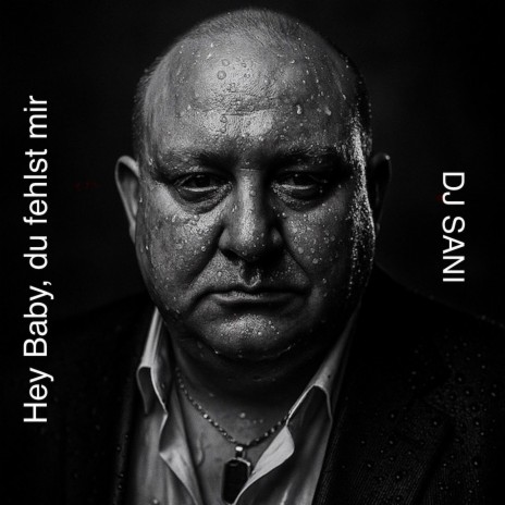Hey Baby, Du Fehlst Mir cover art