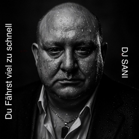 Du Fährst Viel Zu Schnell cover art